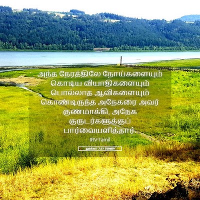 Picture 05 - லூக்கா 7:21 TAMIRV - அந்த நேரத்திலே - Bible Verse Picture