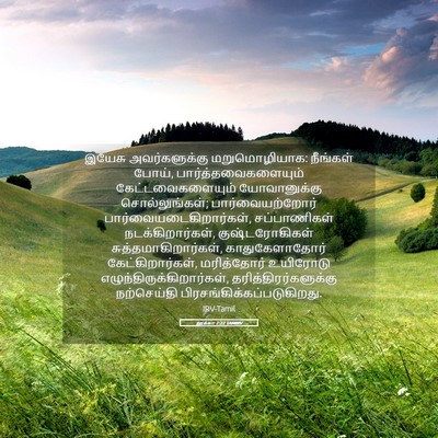 Picture 05 - லூக்கா 7:22 TAMIRV - இயேசு அவர்களுக்கு - Bible Verse Picture