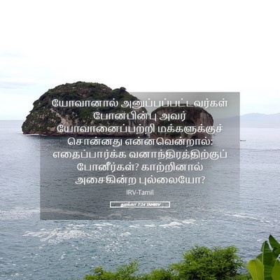Picture 05 - லூக்கா 7:24 TAMIRV - யோவானால் - Bible Verse Picture