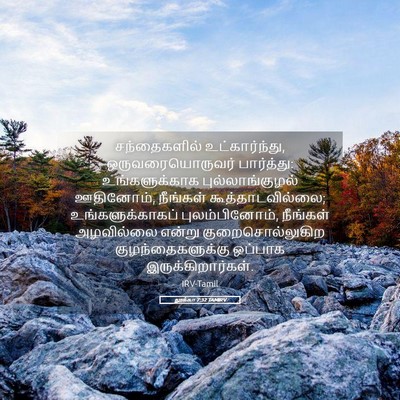 Picture 05 - லூக்கா 7:32 TAMIRV - சந்தைகளில் - Bible Verse Picture