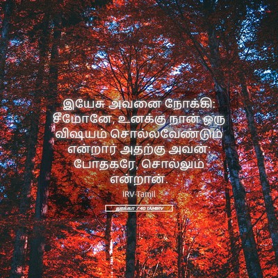 Picture 05 - லூக்கா 7:40 TAMIRV - இயேசு அவனை நோக்கி: - Bible Verse Picture