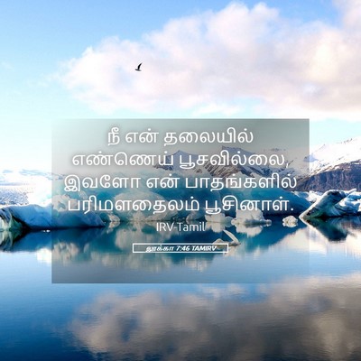Picture 05 - லூக்கா 7:46 TAMIRV - நீ என் தலையில் - Bible Verse Picture