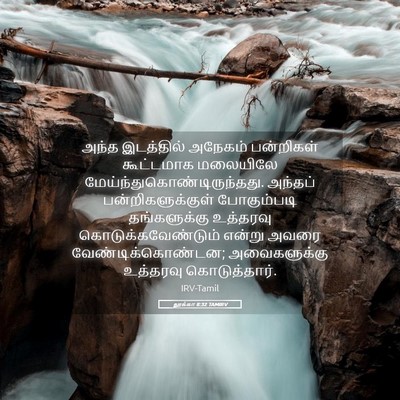 Picture 05 - லூக்கா 8:32 TAMIRV - அந்த இடத்தில் - Bible Verse Picture