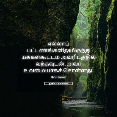 Picture 05 - லூக்கா 8:4 TAMIRV - எல்லாப் - Bible Verse Picture