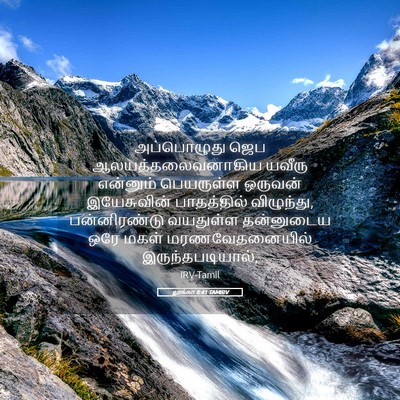 Picture 05 - லூக்கா 8:41 TAMIRV - அப்பொழுது ஜெப - Bible Verse Picture