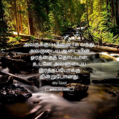 Picture 05 - லூக்கா 8:44 TAMIRV - அவருக்குப் - Bible Verse Picture