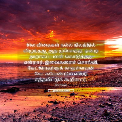 Picture 05 - லூக்கா 8:8 TAMIRV - சில விதைகள் நல்ல - Bible Verse Picture