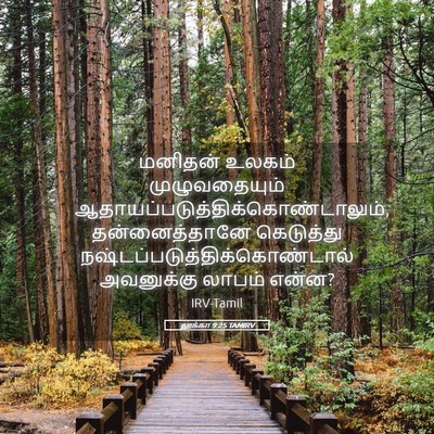 Picture 05 - லூக்கா 9:25 TAMIRV - மனிதன் உலகம் - Bible Verse Picture