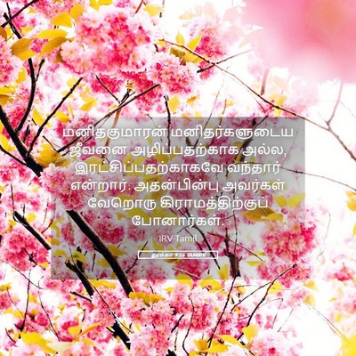 Picture 05 - லூக்கா 9:56 TAMIRV - மனிதகுமாரன் - Bible Verse Picture