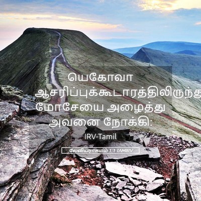 Picture 05 - லேவியராகமம் 1:1 TAMIRV - யெகோவா - Bible Verse Picture