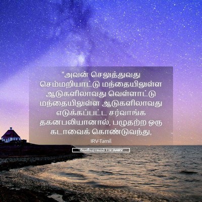 Picture 05 - லேவியராகமம் 1:10 TAMIRV - “அவன் செலுத்துவது - Bible Verse Picture