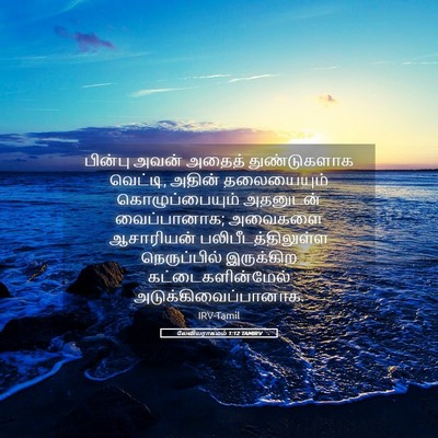 Picture 05 - லேவியராகமம் 1:12 TAMIRV - பின்பு அவன் அதைத் - Bible Verse Picture