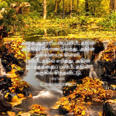 Picture 05 - லேவியராகமம் 1:15 TAMIRV - அதை ஆசாரியன் - Bible Verse Picture