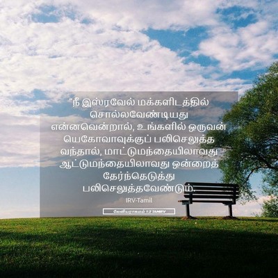 Picture 05 - லேவியராகமம் 1:2 TAMIRV - “நீ இஸ்ரவேல் - Bible Verse Picture