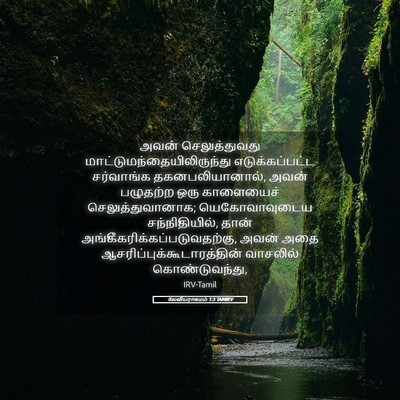 Picture 05 - லேவியராகமம் 1:3 TAMIRV - அவன் செலுத்துவது - Bible Verse Picture