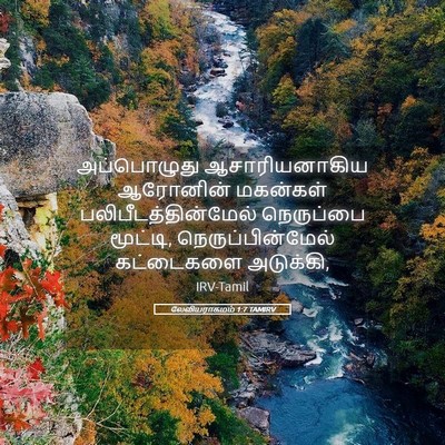 Picture 05 - லேவியராகமம் 1:7 TAMIRV - அப்பொழுது - Bible Verse Picture