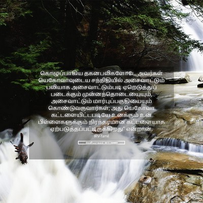 Picture 05 - லேவியராகமம் 10:15 TAMIRV - கொழுப்பாகிய - Bible Verse Picture