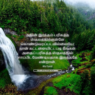 Picture 05 - லேவியராகமம் 10:18 TAMIRV - அதின் இரத்தம் - Bible Verse Picture