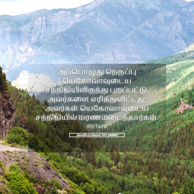 Picture 05 - லேவியராகமம் 10:2 TAMIRV - அப்பொழுது - Bible Verse Picture