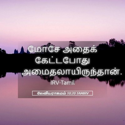 Picture 05 - லேவியராகமம் 10:20 TAMIRV - மோசே அதைக் - Bible Verse Picture