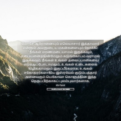 Picture 05 - லேவியராகமம் 10:6 TAMIRV - மோசே ஆரோனையும் - Bible Verse Picture