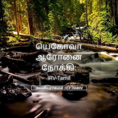 Picture 05 - லேவியராகமம் 10:8 TAMIRV - யெகோவா ஆரோனை - Bible Verse Picture