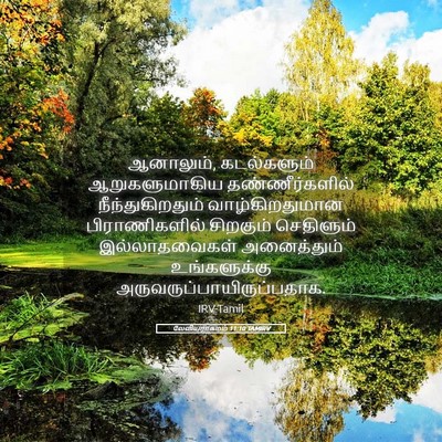 Picture 05 - லேவியராகமம் 11:10 TAMIRV - ஆனாலும், - Bible Verse Picture