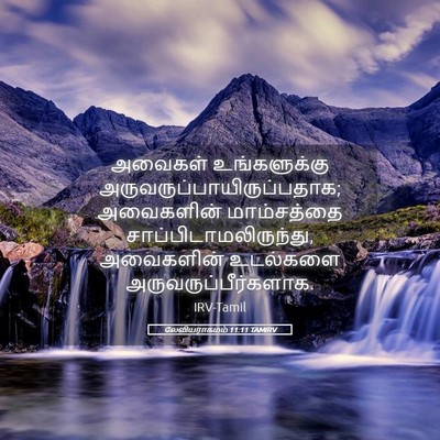Picture 05 - லேவியராகமம் 11:11 TAMIRV - அவைகள் உங்களுக்கு - Bible Verse Picture
