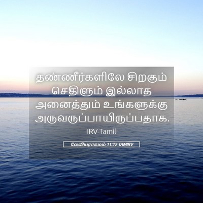 Picture 05 - லேவியராகமம் 11:12 TAMIRV - தண்ணீர்களிலே - Bible Verse Picture