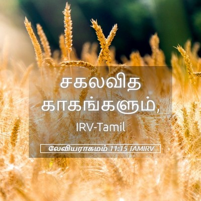 Picture 05 - லேவியராகமம் 11:15 TAMIRV - சகலவித - Bible Verse Picture
