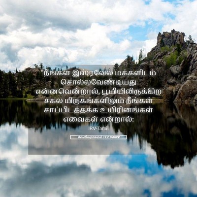 Picture 05 - லேவியராகமம் 11:2 TAMIRV - “நீங்கள் இஸ்ரவேல் - Bible Verse Picture