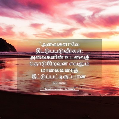 Picture 05 - லேவியராகமம் 11:24 TAMIRV - “அவைகளாலே - Bible Verse Picture