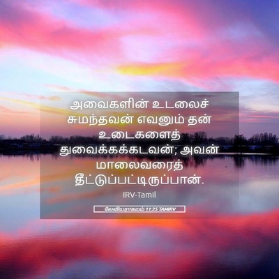 Picture 05 - லேவியராகமம் 11:25 TAMIRV - அவைகளின் உடலைச் - Bible Verse Picture