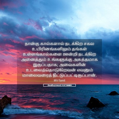 Picture 05 - லேவியராகமம் 11:27 TAMIRV - நான்கு கால்களால் - Bible Verse Picture