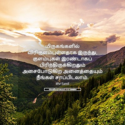 Picture 05 - லேவியராகமம் 11:3 TAMIRV - மிருகங்களில் - Bible Verse Picture