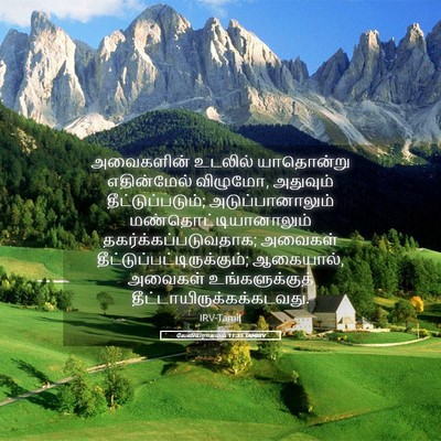 Picture 05 - லேவியராகமம் 11:35 TAMIRV - அவைகளின் உடலில் - Bible Verse Picture