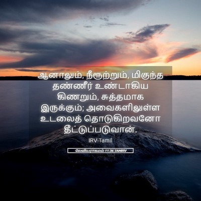 Picture 05 - லேவியராகமம் 11:36 TAMIRV - ஆனாலும், - Bible Verse Picture