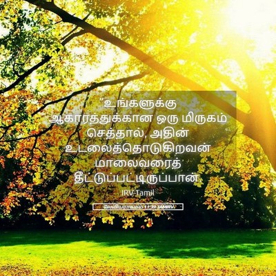 Picture 05 - லேவியராகமம் 11:39 TAMIRV - “உங்களுக்கு - Bible Verse Picture