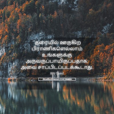 Picture 05 - லேவியராகமம் 11:41 TAMIRV - “தரையில் ஊருகிற - Bible Verse Picture