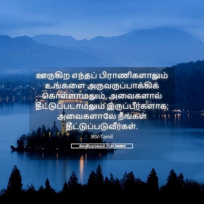 Picture 05 - லேவியராகமம் 11:43 TAMIRV - ஊருகிற எந்தப் - Bible Verse Picture