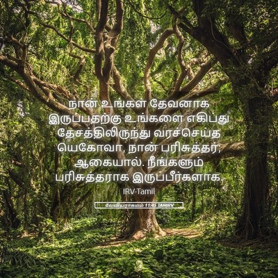 Picture 05 - லேவியராகமம் 11:45 TAMIRV - நான் உங்கள் - Bible Verse Picture