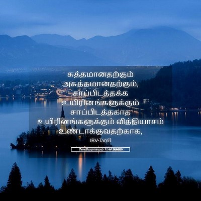 Picture 05 - லேவியராகமம் 11:46 TAMIRV - சுத்தமானதற்கும் - Bible Verse Picture