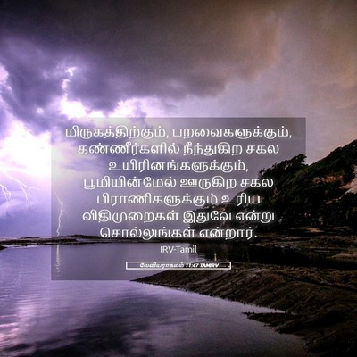 Picture 05 - லேவியராகமம் 11:47 TAMIRV - மிருகத்திற்கும், - Bible Verse Picture