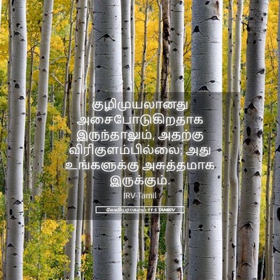 Picture 05 - லேவியராகமம் 11:5 TAMIRV - குழிமுயலானது - Bible Verse Picture