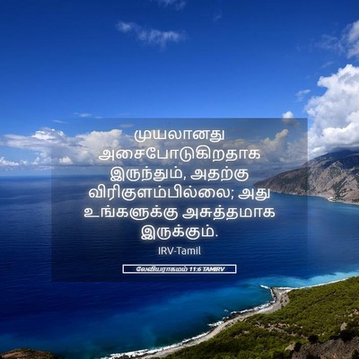 Picture 05 - லேவியராகமம் 11:6 TAMIRV - முயலானது - Bible Verse Picture