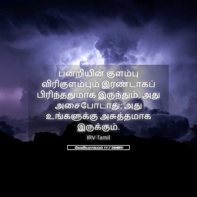 Picture 05 - லேவியராகமம் 11:7 TAMIRV - பன்றியின் குளம்பு - Bible Verse Picture