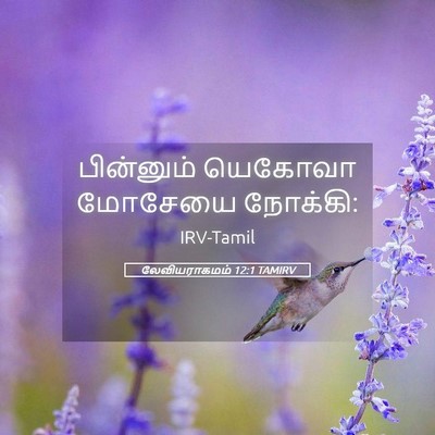 Picture 05 - லேவியராகமம் 12:1 TAMIRV - பின்னும் யெகோவா - Bible Verse Picture