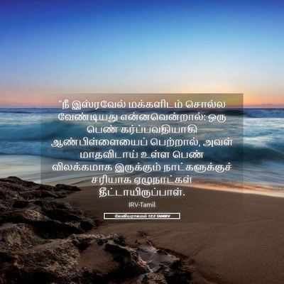 Picture 05 - லேவியராகமம் 12:2 TAMIRV - “நீ இஸ்ரவேல் - Bible Verse Picture