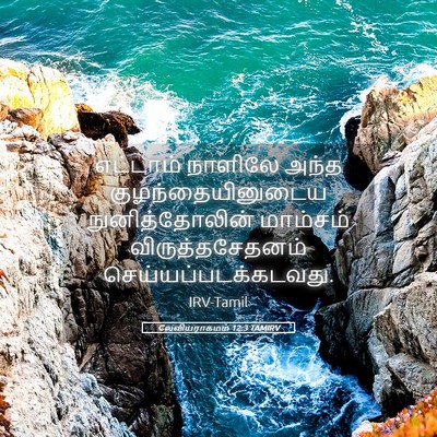Picture 05 - லேவியராகமம் 12:3 TAMIRV - எட்டாம் நாளிலே - Bible Verse Picture