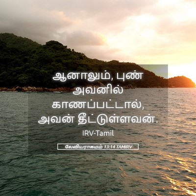 Picture 05 - லேவியராகமம் 13:14 TAMIRV - ஆனாலும், புண் - Bible Verse Picture